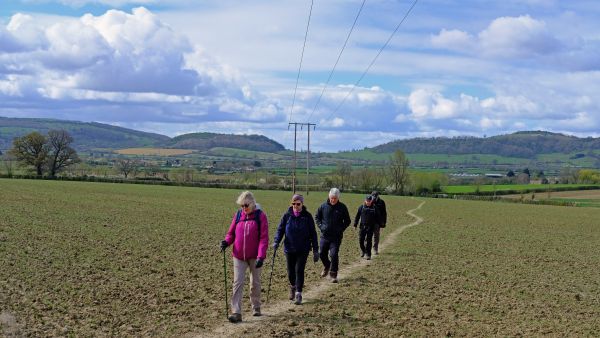 Dumbleton Walk